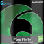 Quantum Pure Phyto 100 mL bottle, marine phytoplankton coral and filter-feeder food for reef aquariums