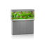 Juwel Rio 240 LED aquarium and SBX cabinet set, grey