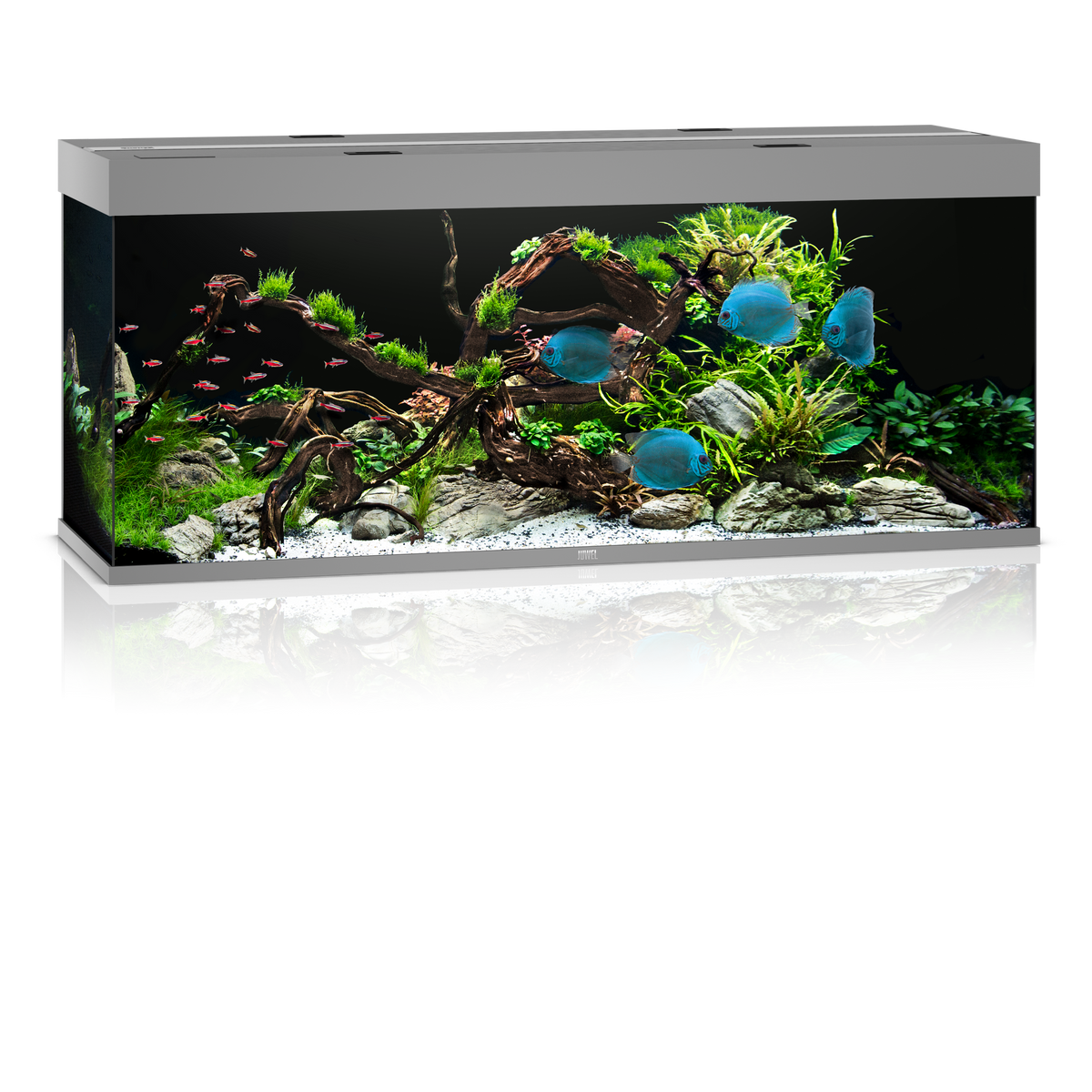 Juwel Rio 450 LED aquarium, grey