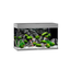 Juwel Rio 125 LED aquarium, grey
