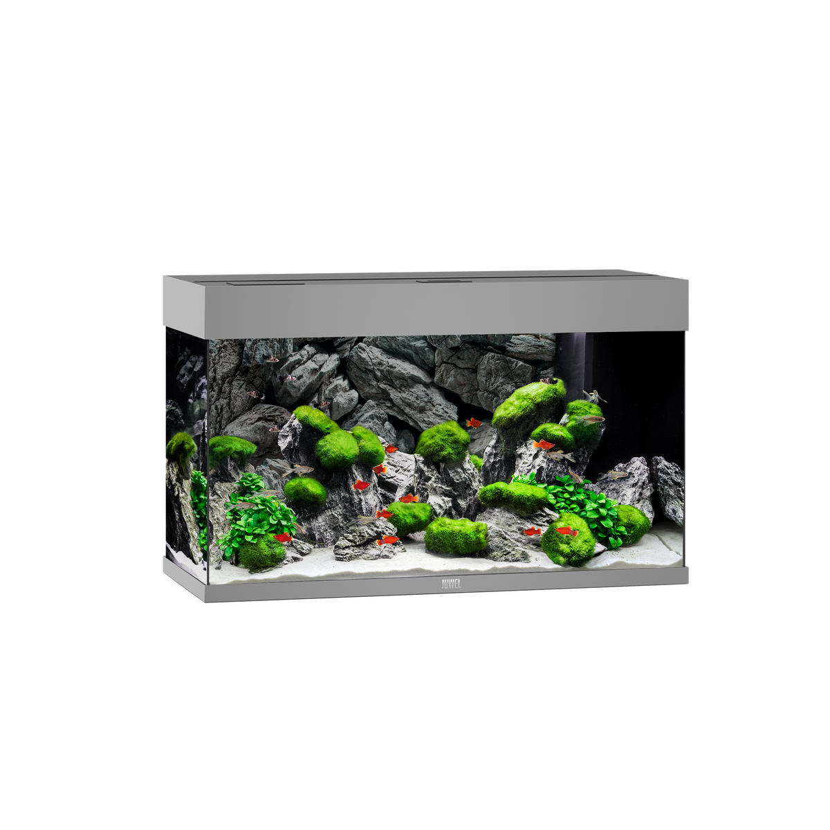 Juwel Rio 125 LED aquarium, grey