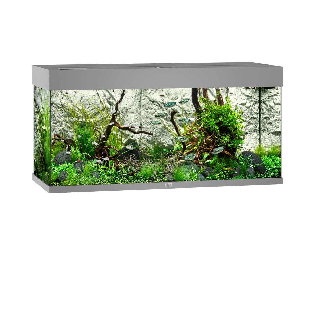 Juwel Rio 180 LED aquarium, grey