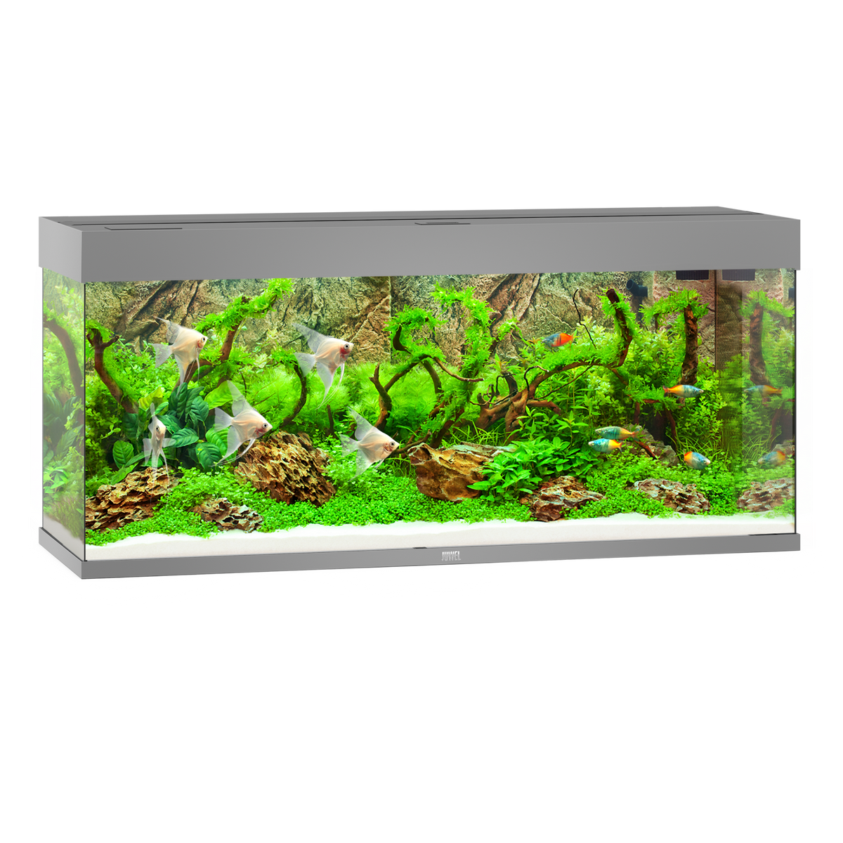 Juwel Rio 240 LED aquarium, grey