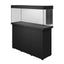 Juwel Rio 240 LED aquarium and SBX cabinet set, black, angled view