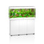 Juwel Rio 240 LED aquarium and SBX cabinet set, white