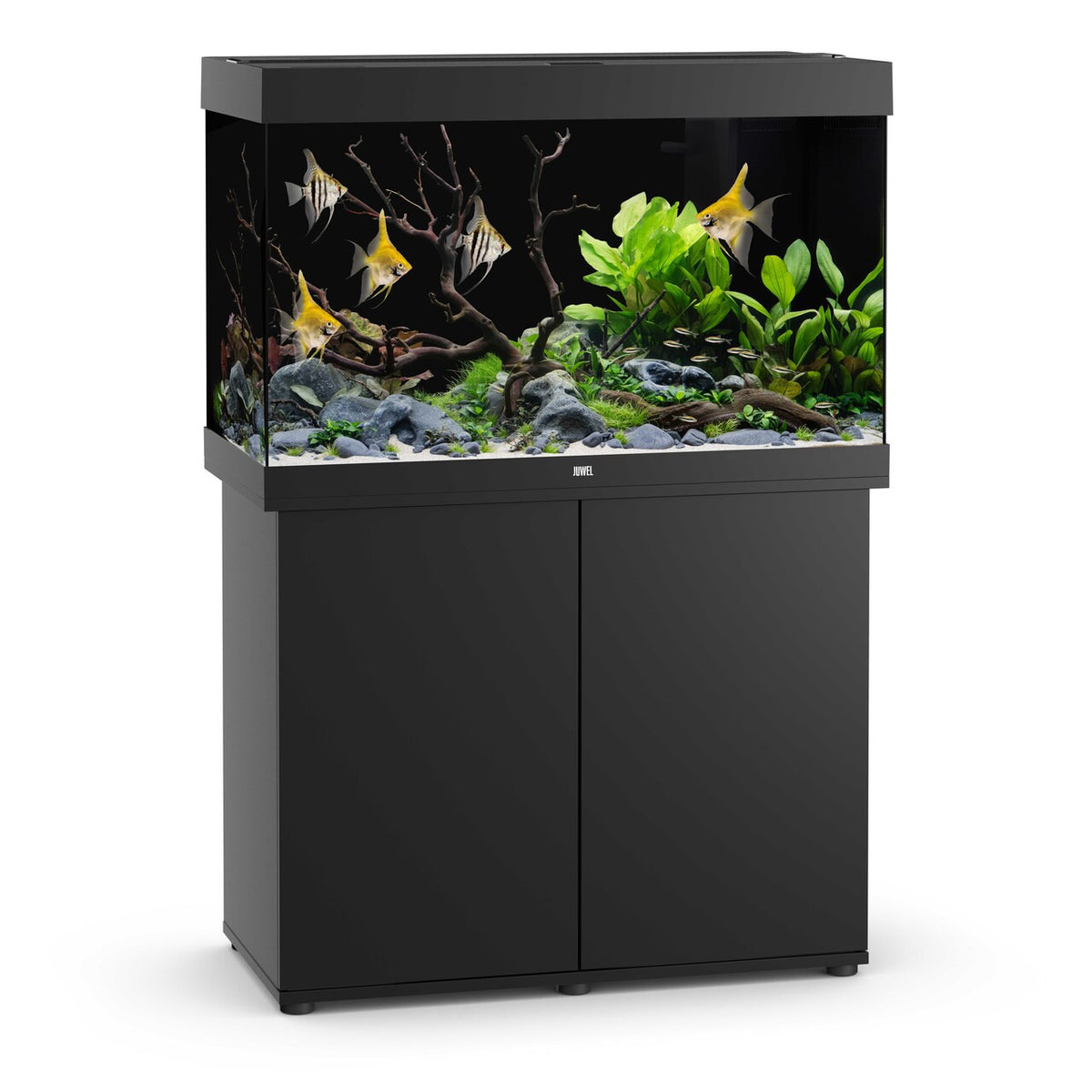 Juwel Rio 290 LED aquarium and SBX cabinet set, black