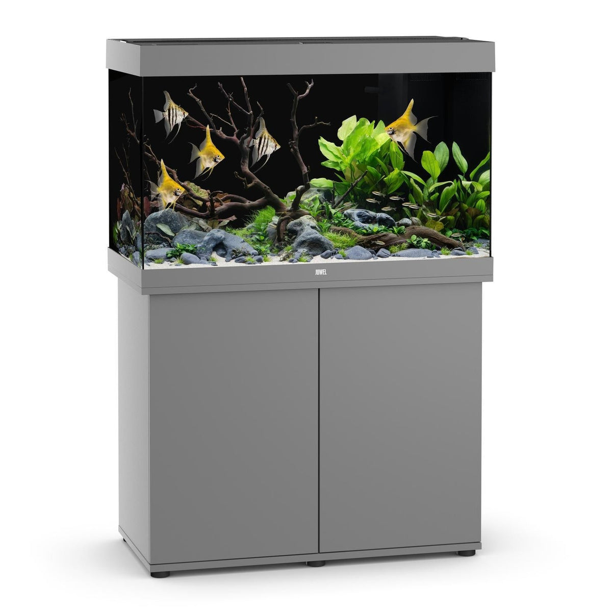 Juwel Rio 290 LED aquarium and SBX cabinet set, grey