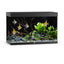 Juwel Rio 290 LED aquarium, black