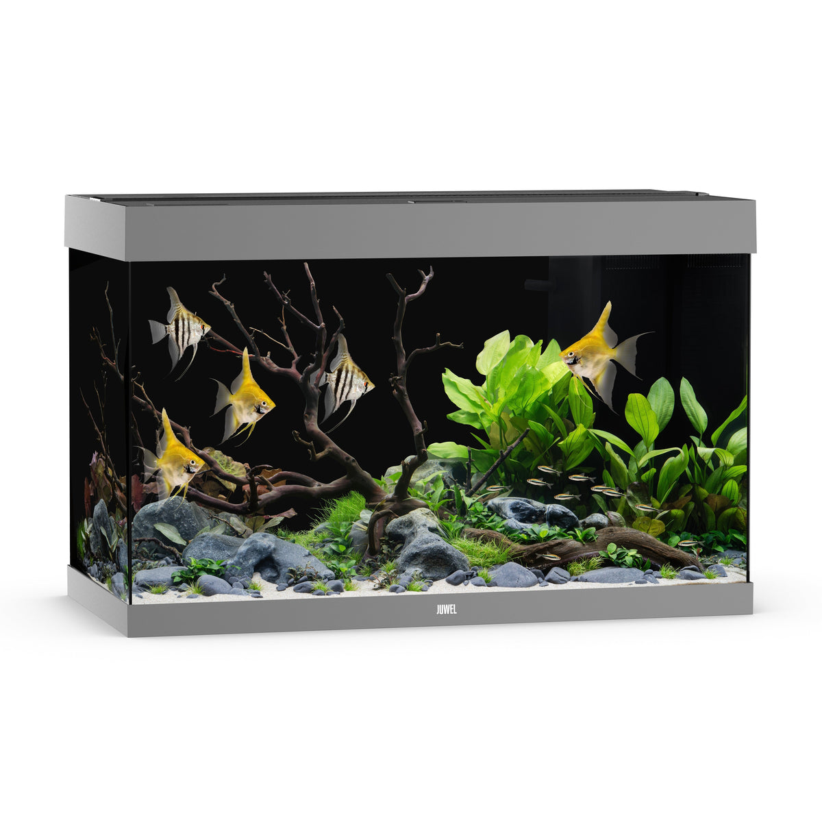 Juwel Rio 290 LED aquarium, grey