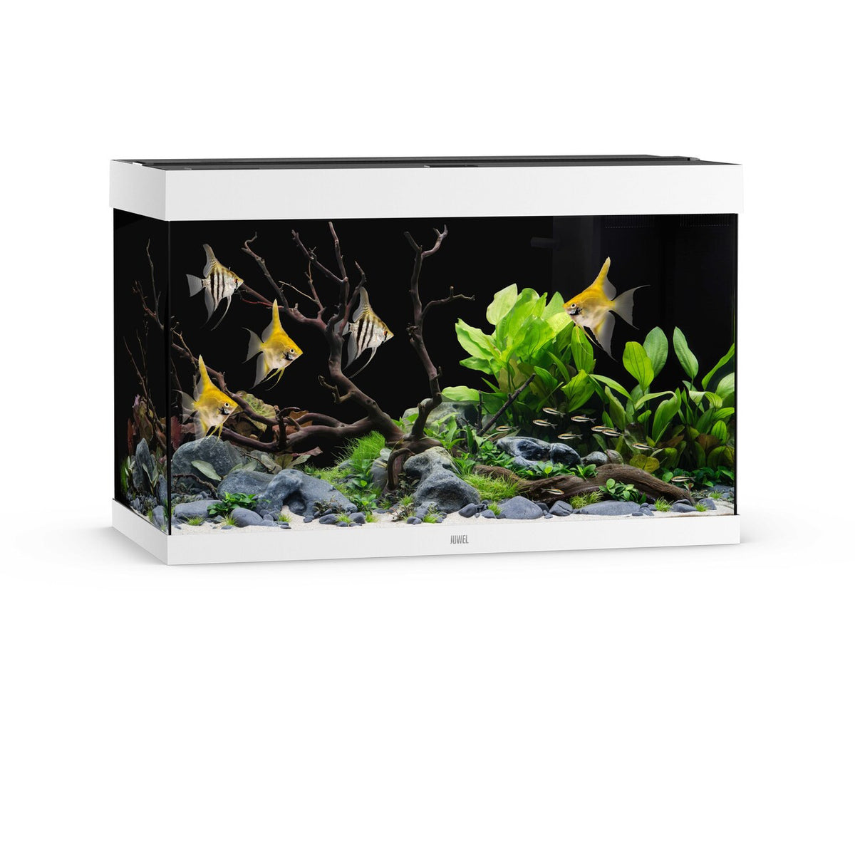 Juwel Rio 290 LED aquarium, white