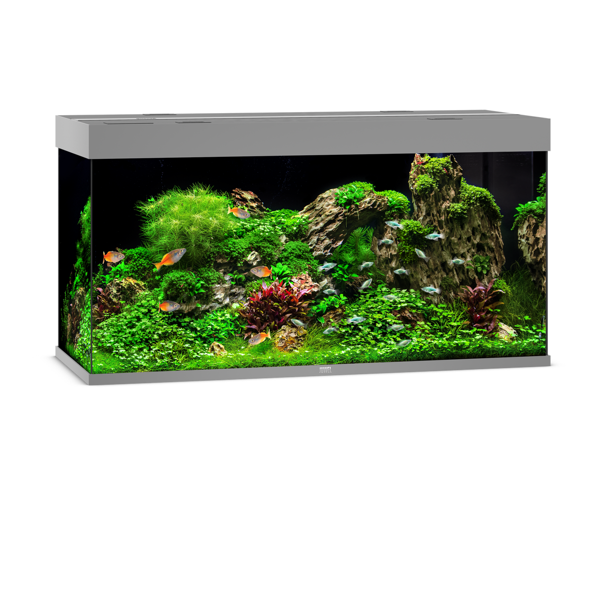 Juwel Rio 350 LED aquarium, grey