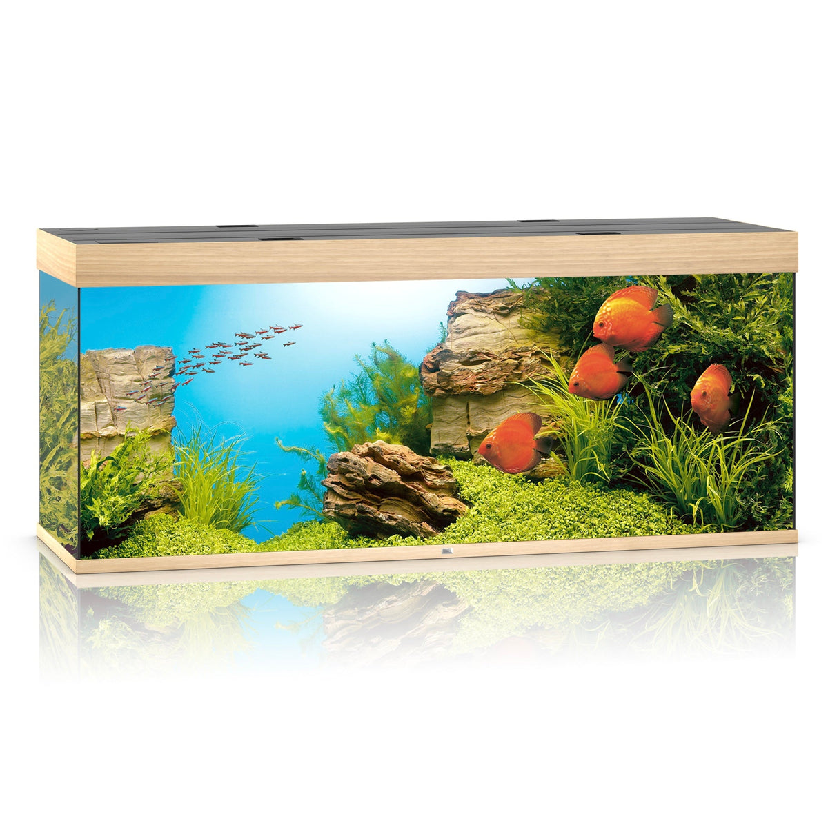 Juwel Rio 450 LED aquarium, light wood