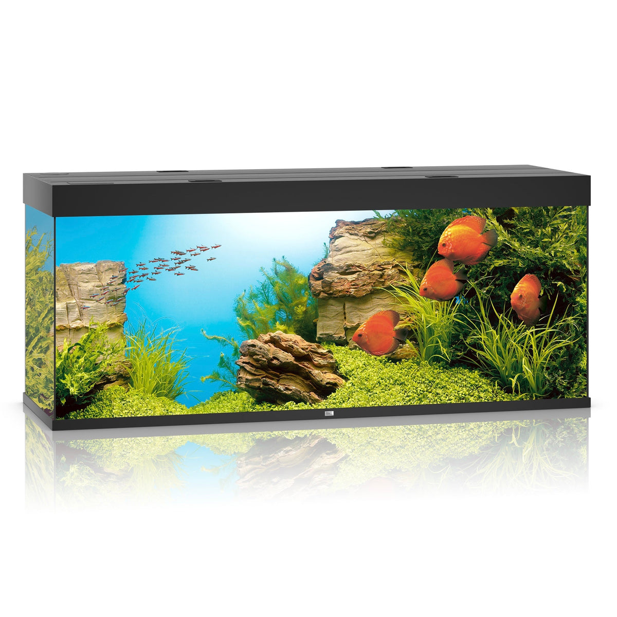 Juwel Rio 450 LED aquarium, black