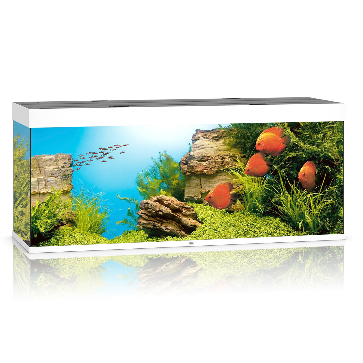 Juwel Rio 450 LED aquarium, white