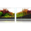 Front and back views of an eight month old planted aquarium showing the substrate bed