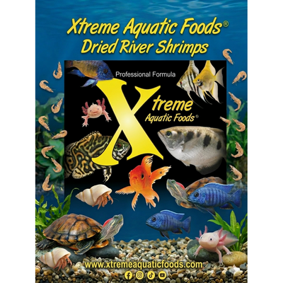Xtreme Sun-Dried River Shrimp, natural treat for fish, turtles, axolotls, frogs and hermit crabs