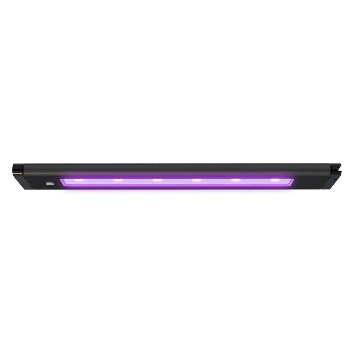 AquaIllumination Blade Coral Glow LED strip lighting a reef tank