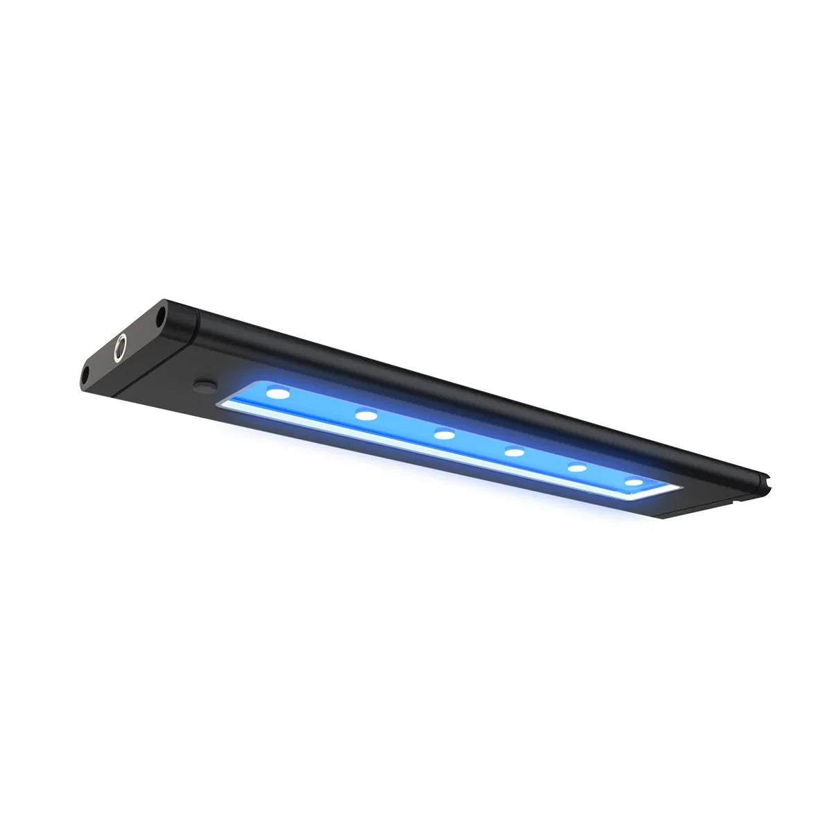 AI Blade Coral Grow LED strip illuminated