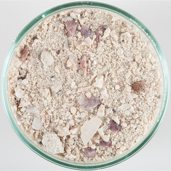 CaribSea Arag-Alive Bimini Pink live reef sand