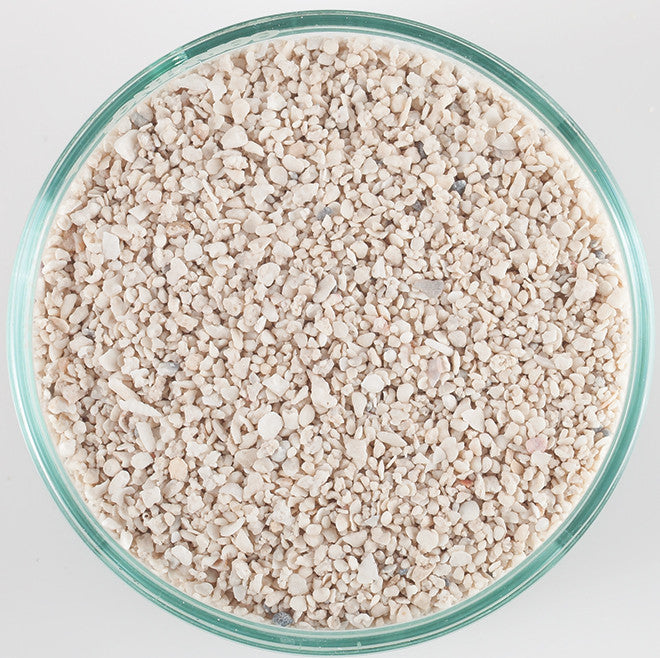CaribSea Arag-Alive Special Grade reef sand bag