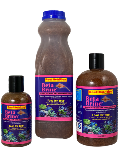 Reef Nutrition Beta-Brine brine shrimp concentrate bottle