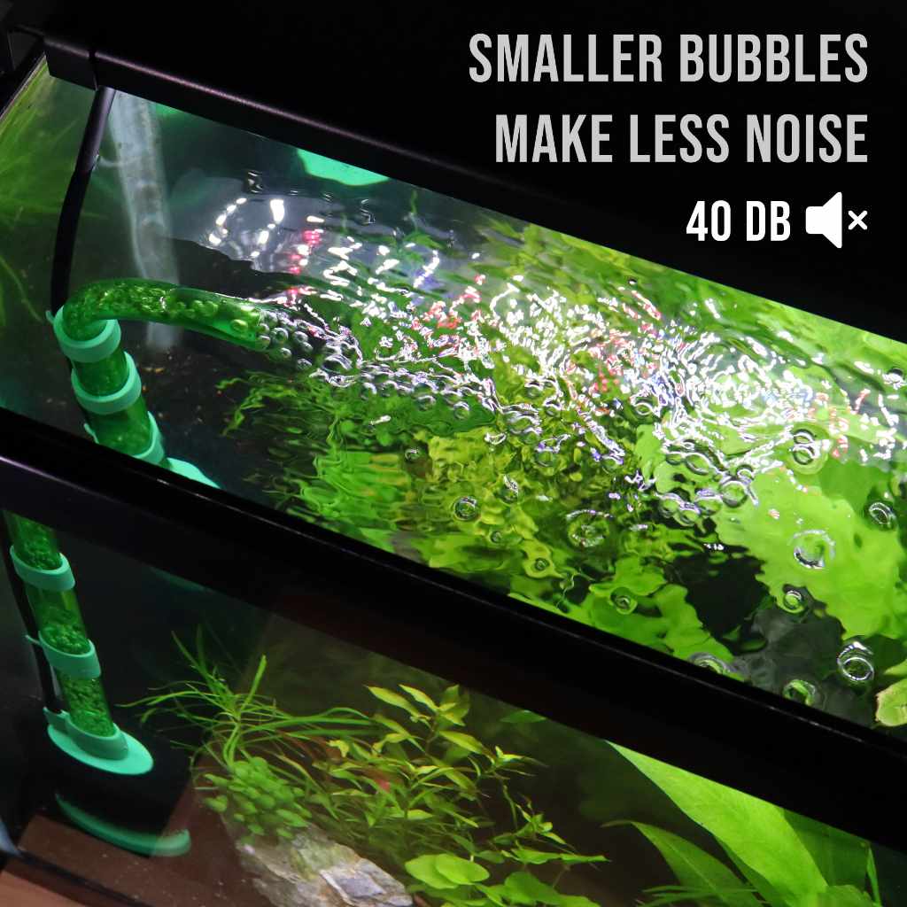 Easy Flow sponge filter running in a planted aquarium