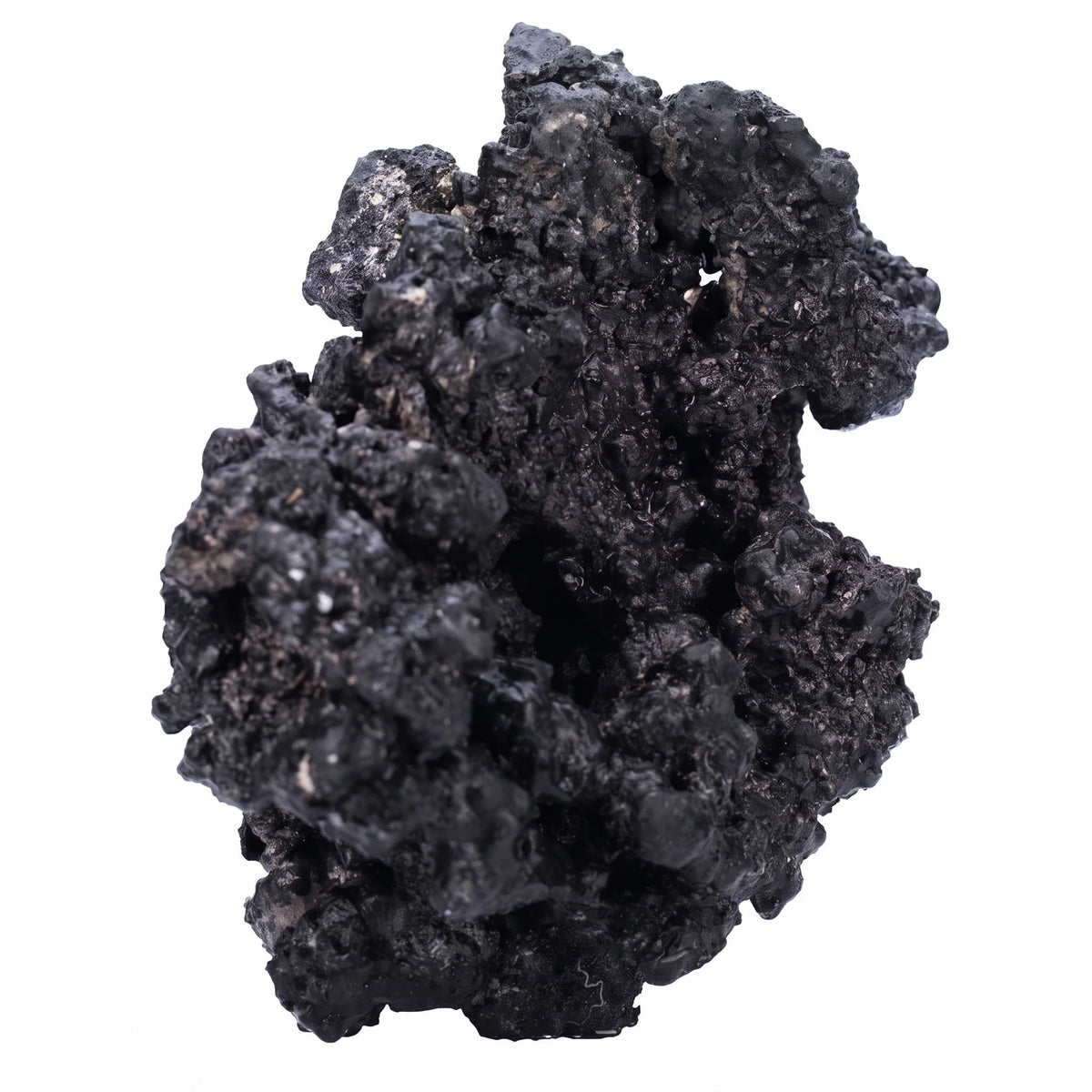 Real Reef Midnight small and medium black reef rock, the everyday pieces in the bin