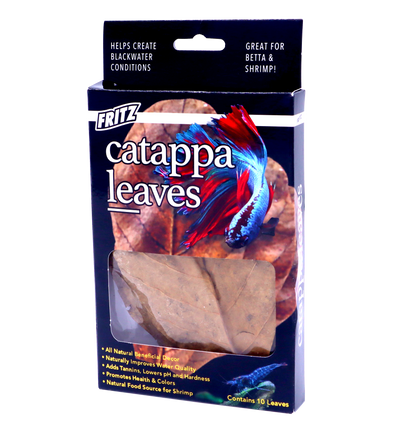 Fritz Catappa Leaves Indian almond leaves
