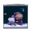 HELLOREEF Clownfish & Anemone Aquarium Kit