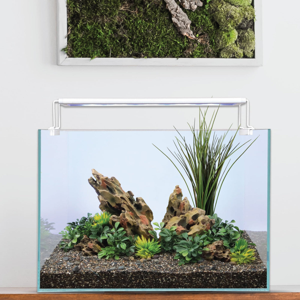 Current USA Serene 13 gallon rimless aquarium with SereneSun LED light, aquascape shown for display only