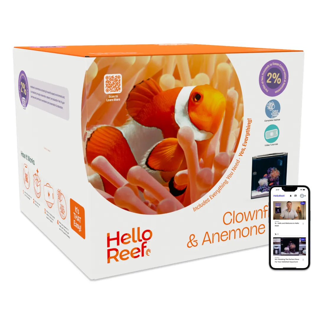 HELLOREEF Clownfish & Anemone Aquarium Kit
