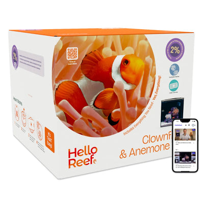 HELLOREEF Clownfish & Anemone Aquarium Kit