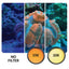 IceCap Mobile Phone Stackable Filter Lens Kit – Clip-On Camera Filters