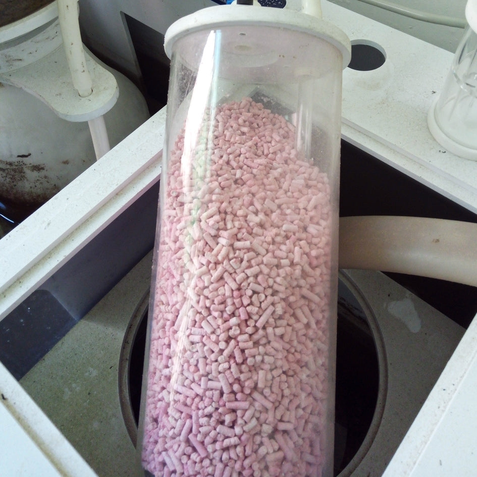 IceCap CO2 Scrubber hanging on an aquarium sump with pink CO2 absorbent media inside