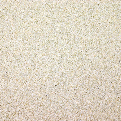 Estes white aquarium sand shown up close