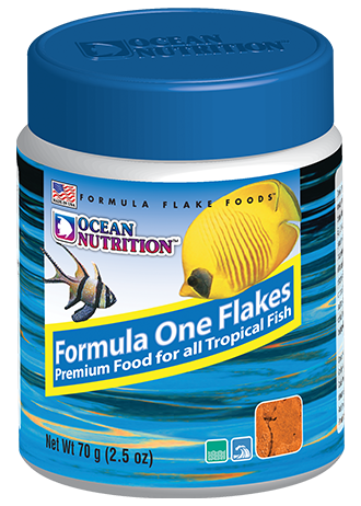 Ocean Nutrition Formula One Flake carnivore fish food for marine and freshwater fish