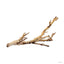 Exo Terra Forest Branch, natural grapevine climbing wood for a terrarium