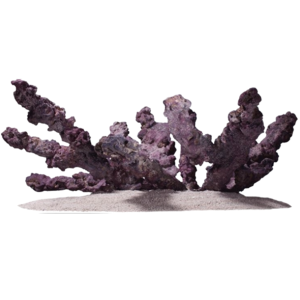 CaribSea LifeRock Belize Branch aquacultured branching reef rock
