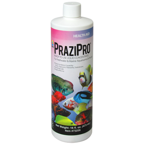Hikari PraziPro | Liquid Praziquantel for Freshwater & Saltwater Parasites