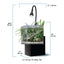 Fluval Kühl black version dimensions diagram, 11 x 11 inch footprint, 16 inch tank height, 8 L / 2.1 gallon capacity