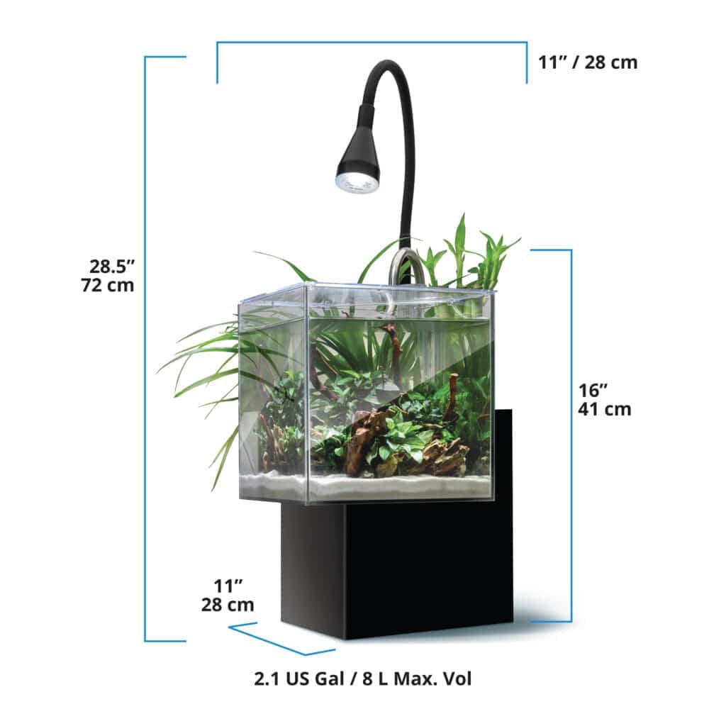 Fluval Kühl black version dimensions diagram, 11 x 11 inch footprint, 16 inch tank height, 8 L / 2.1 gallon capacity