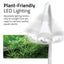 Plant-friendly LED lighting panel showing the Kühl's adjustable gooseneck lamp over aquatic plants