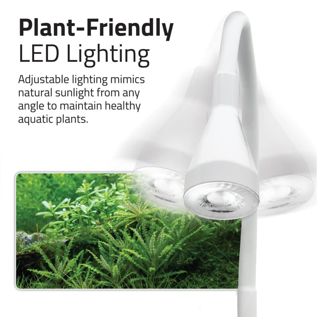 Plant-friendly LED lighting panel showing the Kühl's adjustable gooseneck lamp over aquatic plants