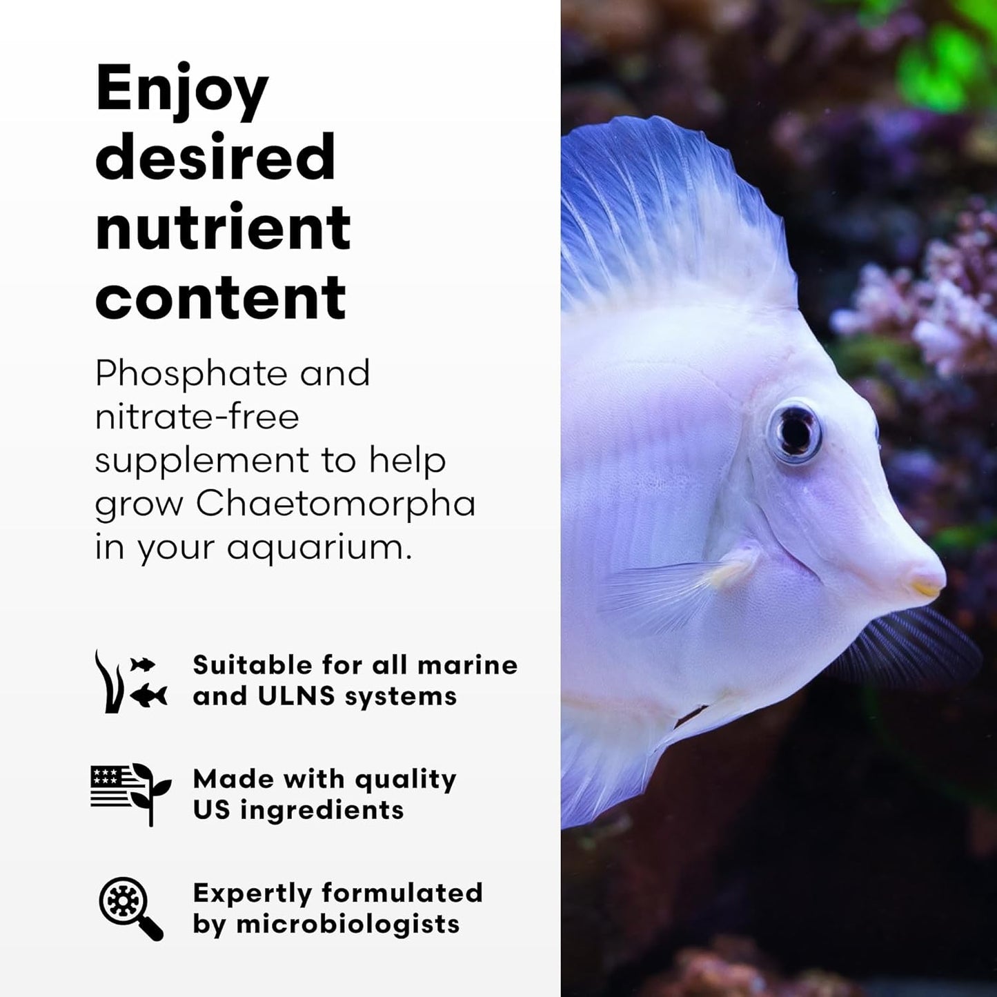 Brightwell Aquatics ChaetoGrō – Chaetomorpha Multi-Nutrient – 500 ml