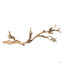 Exo Terra Forest Branch, large natural grapevine climbing branch for a terrarium