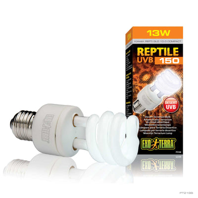 Exo Terra Reptile UVB150 13 watt desert compact fluorescent bulb beside its packaging