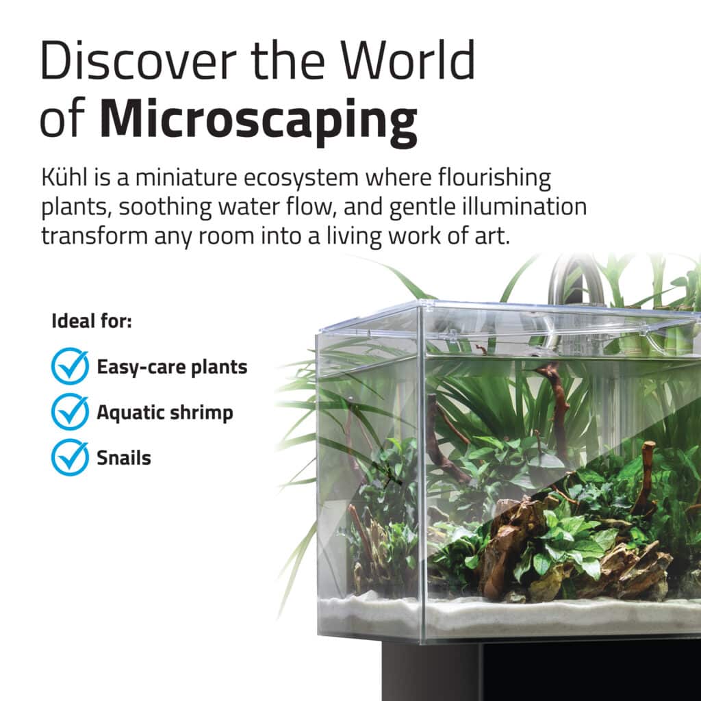 Kühl microscaping infographic with the black nano tank, ideal for easy-care plants, shrimp, and snails