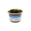 Weeping Moss (Vesicularia ferriei) freshwater aquarium moss - portion cup