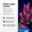 Brightwell Aquatics Polyp Ignite for LPS and SPS corals