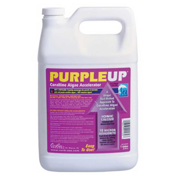 CaribSea Purple Up